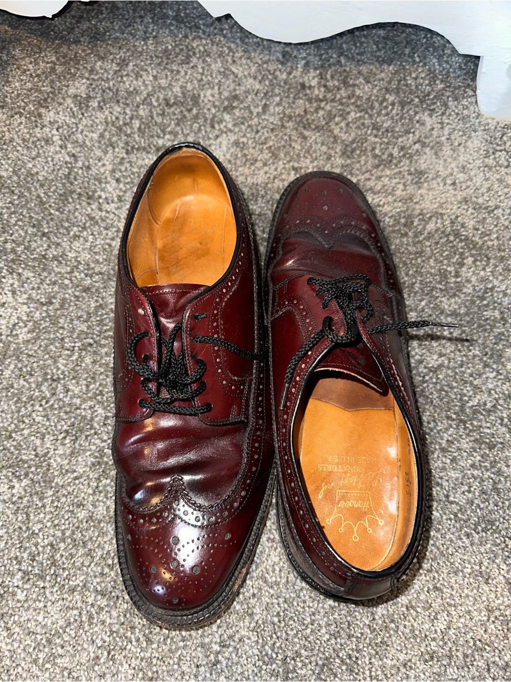 Men's Burgundy brown Wingtip Dress Shoes